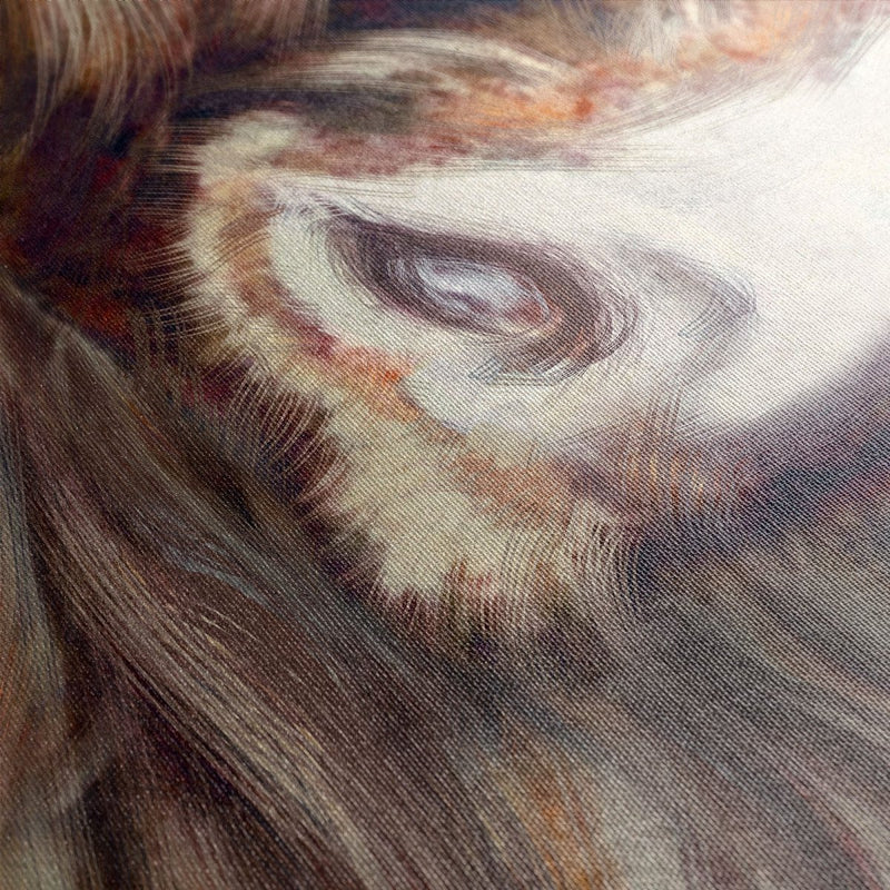 schotse hooglander canvas close up, het handgeschilderde werk is hier te bestellen